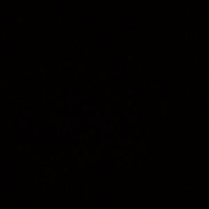 Meet your Posher, Kaylin